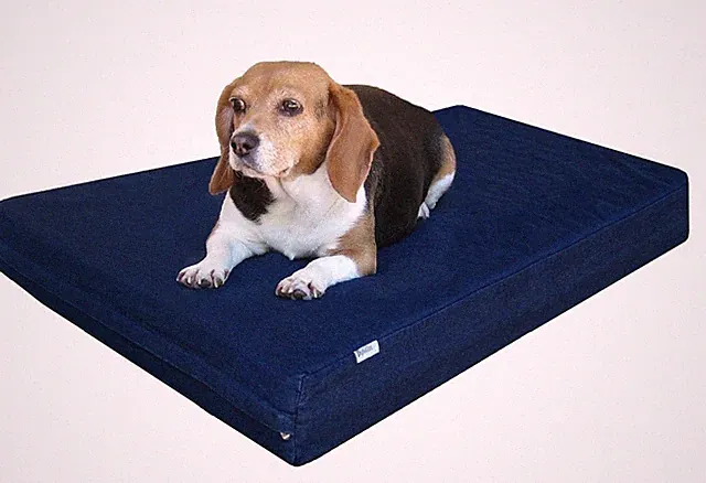 New Best Dogbed4less Premium Gel Memory Foam Dog Bed, Durable Denim Cover with